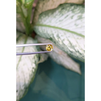 1.15 Ct. Yellow Sapphire from Ceylon (Sri Lanka) Life Style