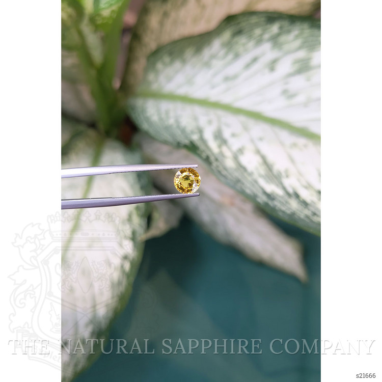 1.15 Ct. Yellow Sapphire from Ceylon (Sri Lanka)