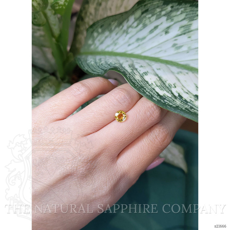 1.15 Ct. Yellow Sapphire from Ceylon (Sri Lanka)