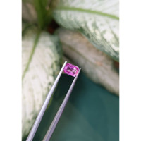 1.11 Ct. Pink Sapphire from Ceylon (Sri Lanka) Life Style