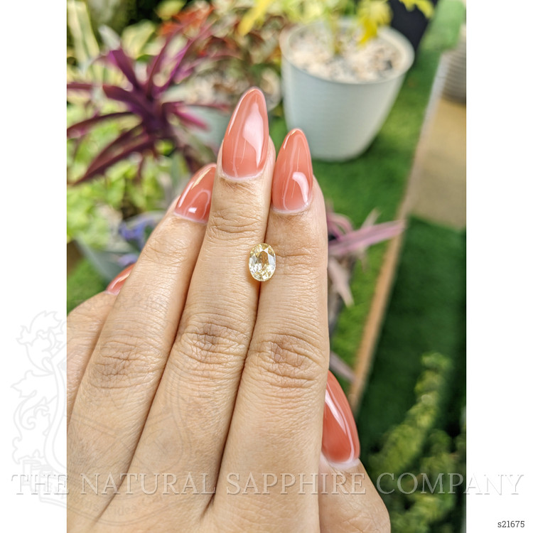 1.65 Ct. Yellow Sapphire from Ceylon (Sri Lanka)