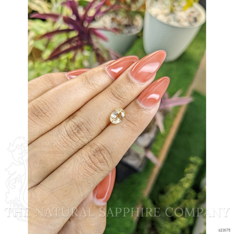 1.65 Ct. Yellow Sapphire from Ceylon (Sri Lanka)