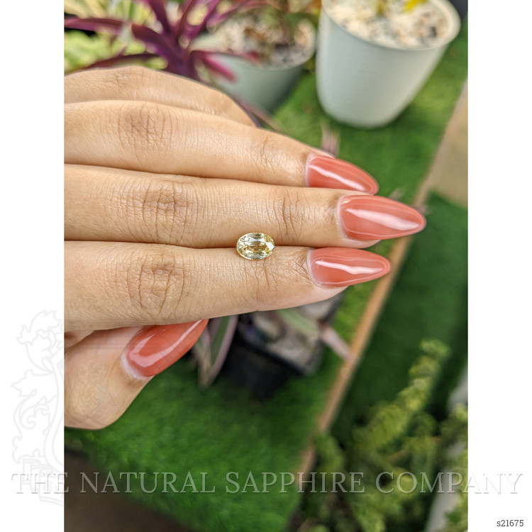 1.65 Ct. Yellow Sapphire from Ceylon (Sri Lanka)