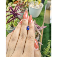 1.59 Ct. Blue Sapphire from Ceylon (Sri Lanka) Life Style