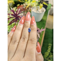 1.12 Ct. Blue Sapphire from Ceylon (Sri Lanka) Life Style