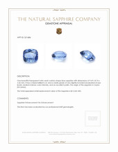 4.84 Ct. Blue Sapphire from Ceylon (Sri Lanka) Appraisal