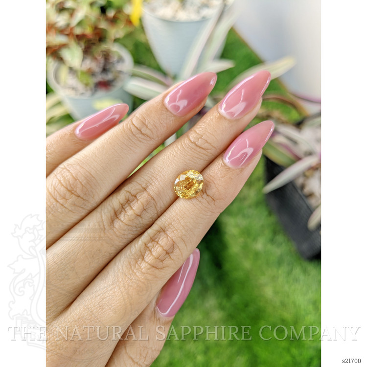 2.78 Ct. Yellow Sapphire from Ceylon (Sri Lanka)