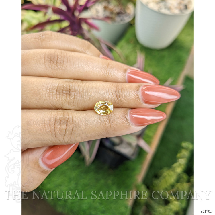 2.23 Ct. Yellow Sapphire from Ceylon (Sri Lanka)