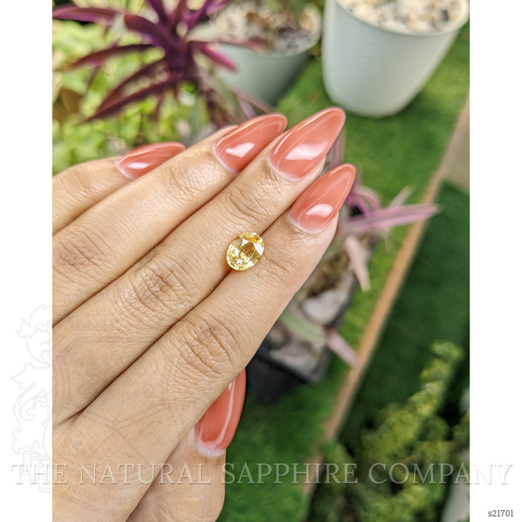 2.23 Ct. Yellow Sapphire from Ceylon (Sri Lanka)