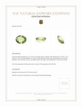 Jewelry Appraisal