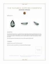 3.11 Ct. Bluish Green Sapphire from Ceylon (Sri Lanka) Appraisal