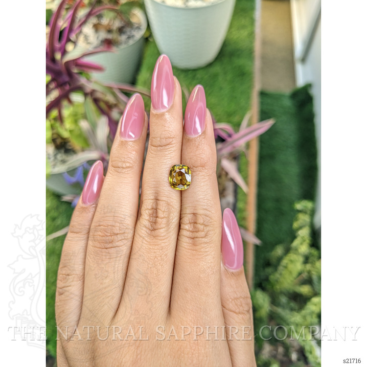 3.01 Ct. Yellowish Brown Sapphire from Ceylon (Sri Lanka)