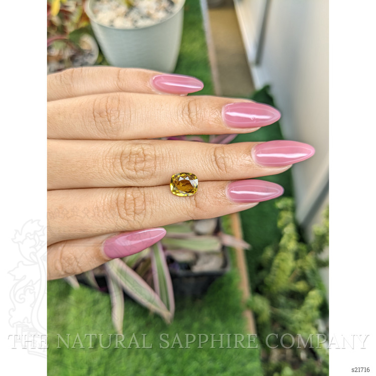 3.01 Ct. Yellowish Brown Sapphire from Ceylon (Sri Lanka)