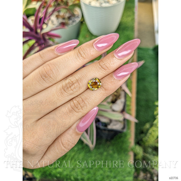 3.01 Ct. Yellowish Brown Sapphire from Ceylon (Sri Lanka)