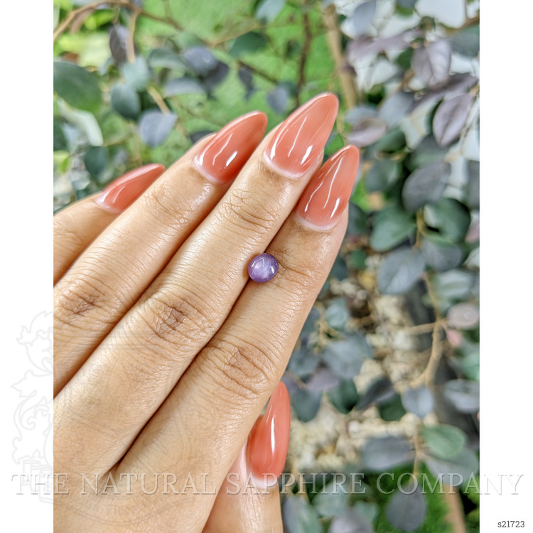 1.42 Ct. Purple Star Sapphire from Ceylon (Sri Lanka)
