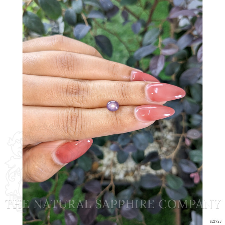 1.42 Ct. Purple Star Sapphire from Ceylon (Sri Lanka)