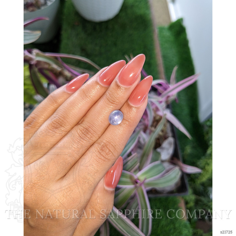 5.33 Ct. Blue Star Sapphire from Ceylon (Sri Lanka)