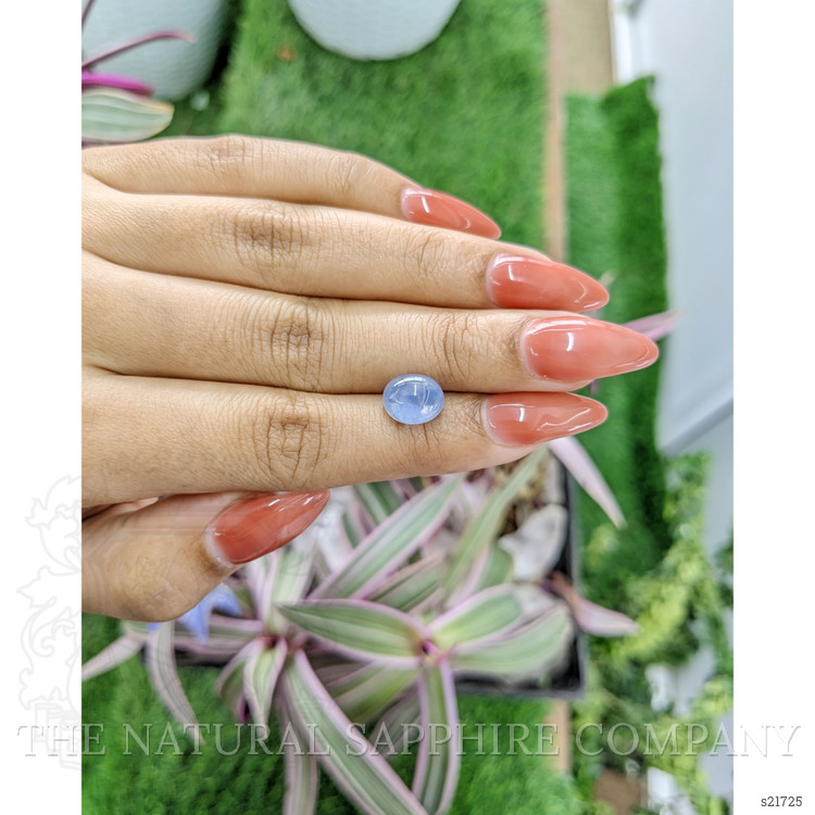 5.33 Ct. Blue Star Sapphire from Ceylon (Sri Lanka)