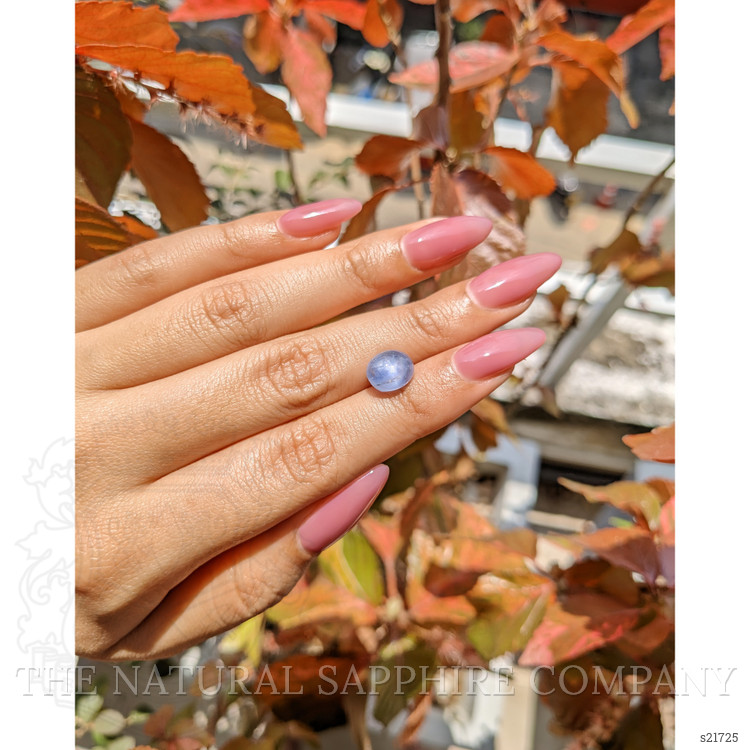 5.33 Ct. Blue Star Sapphire from Ceylon (Sri Lanka)