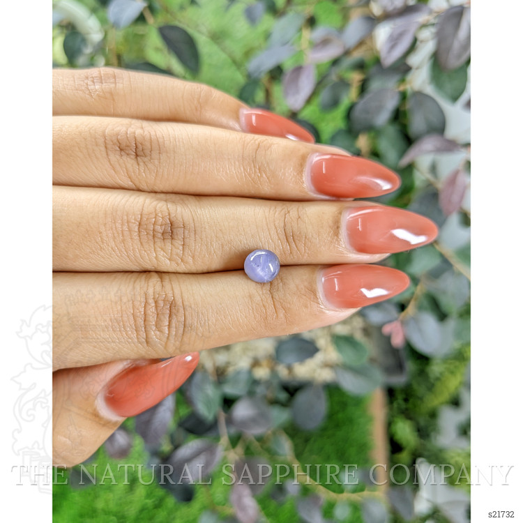 2.37 Ct. Violet Star Sapphire from Ceylon (Sri Lanka)