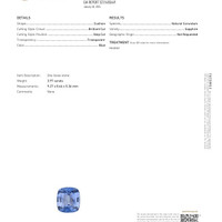 3.97 Ct. Blue Sapphire from Ceylon (Sri Lanka) Scan Report
