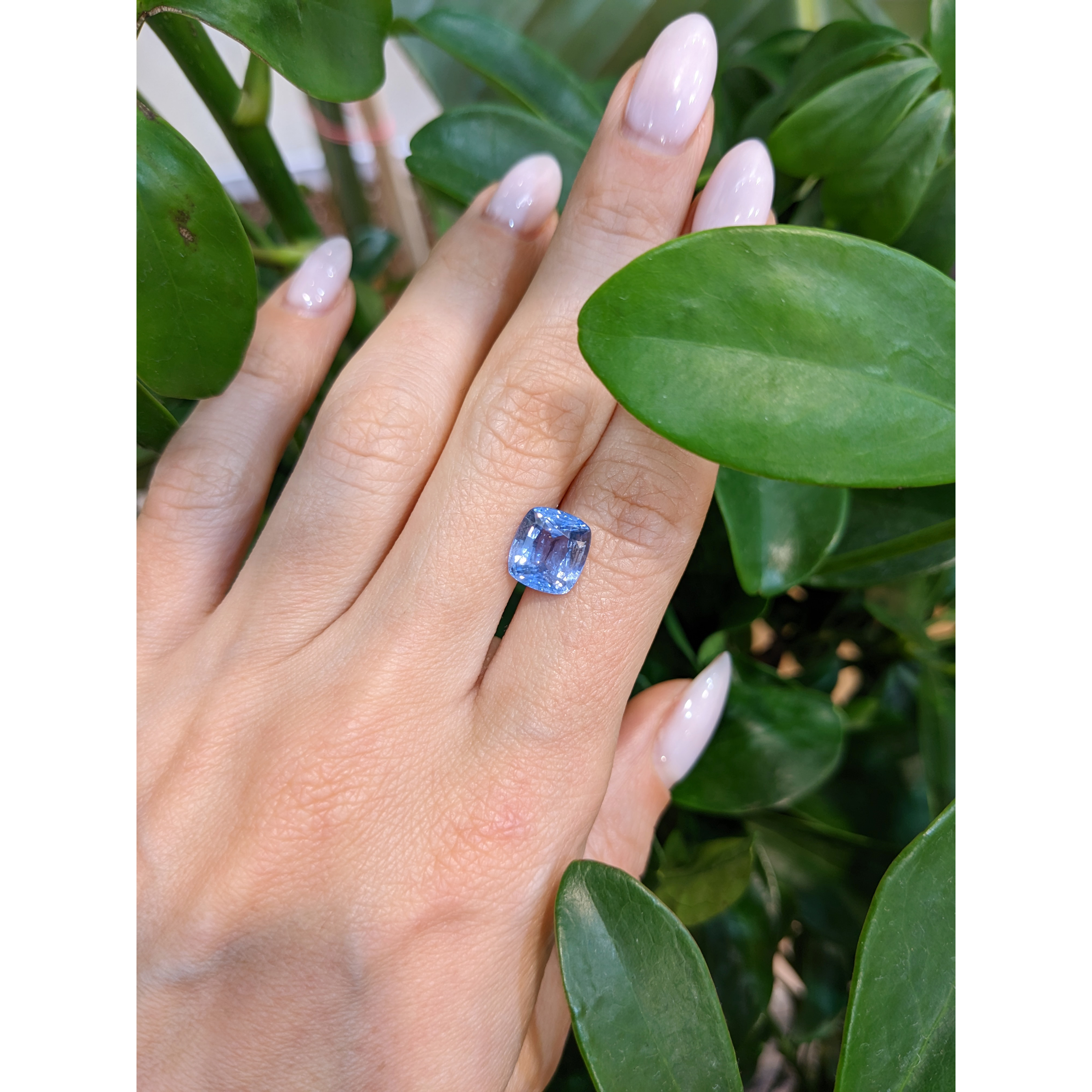 Loose Blue Sapphire - Cushion 3.97 Ct. - #S21746 | The Natural