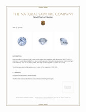0.88 Ct. Blue Sapphire from Ceylon (Sri Lanka) Appraisal