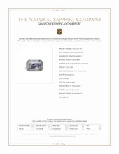 Jewelry Scan Report