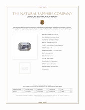 Jewelry Scan Report