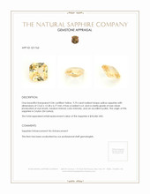 9.70 Ct. Yellow Sapphire from Ceylon (Sri Lanka) Appraisal
