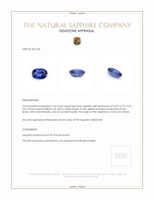 1.03 Ct. Blue Sapphire from Ceylon (Sri Lanka) Appraisal
