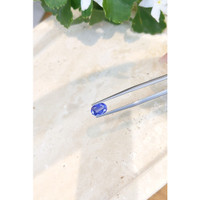 1.72 Ct. Blue Sapphire from Ceylon (Sri Lanka) Life Style