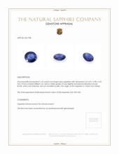 1.02 Ct. Blue Sapphire from Ceylon (Sri Lanka) Appraisal