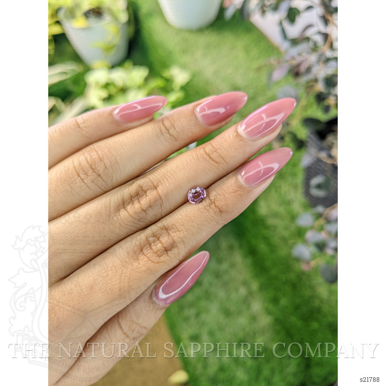 0.70 Ct. Pink Sapphire from Ceylon (Sri Lanka)