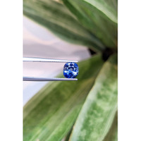 2.11 Ct. Bi Color Sapphire from Nigeria Life Style