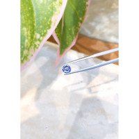 0.76 Ct. Blue Sapphire from Ceylon (Sri Lanka) Life Style