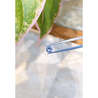 0.61 Ct. Blue Sapphire from Ceylon (Sri Lanka) Life Style