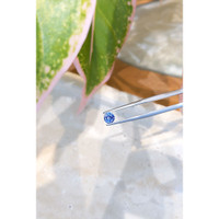 0.58 Ct. Blue Sapphire from Ceylon (Sri Lanka) Life Style