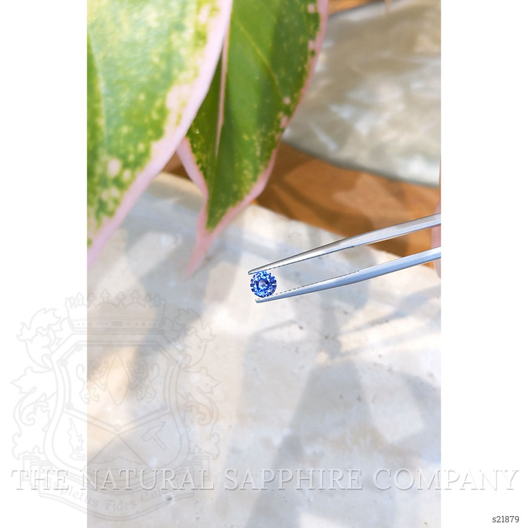0.58 Ct. Blue Sapphire from Ceylon (Sri Lanka)