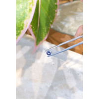 0.57 Ct. Blue Sapphire from Ceylon (Sri Lanka) Life Style