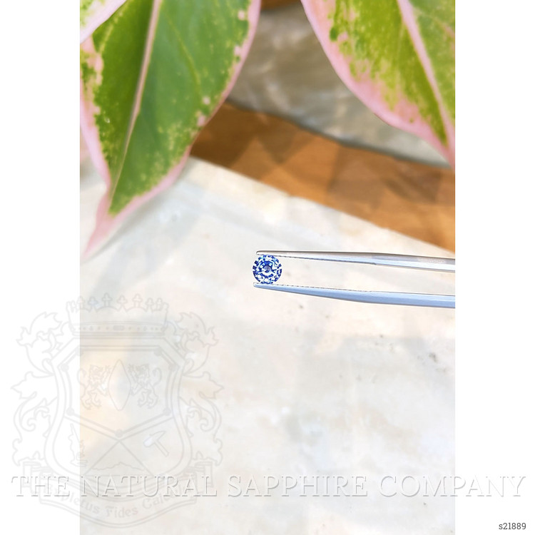 0.59 Ct. Blue Sapphire from Ceylon (Sri Lanka)