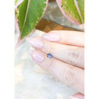 0.77 Ct. Blue Sapphire from Ceylon (Sri Lanka) Life Style