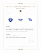 0.48 Ct. Blue Sapphire from Ceylon (Sri Lanka) Appraisal