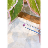 0.52 Ct. Pink Sapphire from Ceylon (Sri Lanka) Life Style