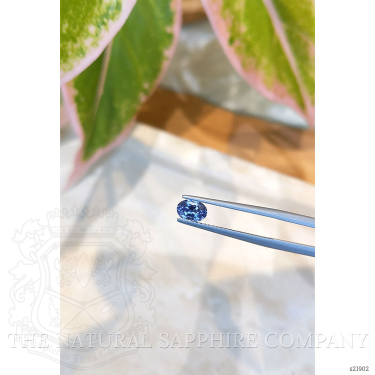 0.69 Ct. Blue Sapphire from Ceylon (Sri Lanka)