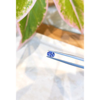 0.64 Ct. Blue Sapphire from Ceylon (Sri Lanka) Life Style