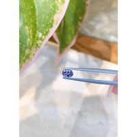 0.69 Ct. Blue Sapphire from Ceylon (Sri Lanka) Life Style