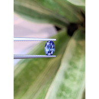 1.03 Ct. Blue Sapphire from Ceylon (Sri Lanka) Life Style