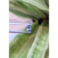 0.87 Ct. Blue Sapphire from Ceylon (Sri Lanka) Life Style