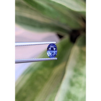 0.92 Ct. Blue Sapphire from Ceylon (Sri Lanka) Life Style
